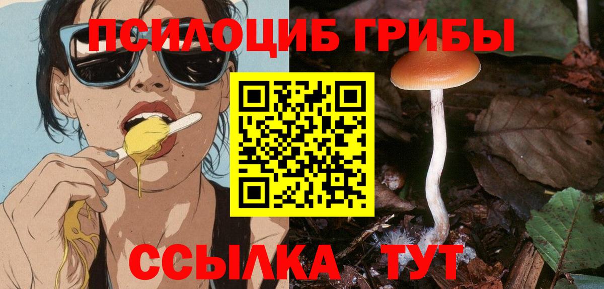 Псилоцибиновые грибы мухоморы  Вход с VPN  Спасск-Дальний 